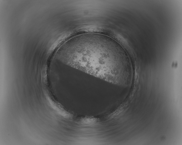 X0000111460202200907131503