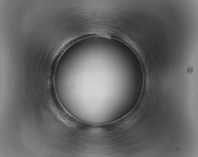 X0000111460203200907131503
