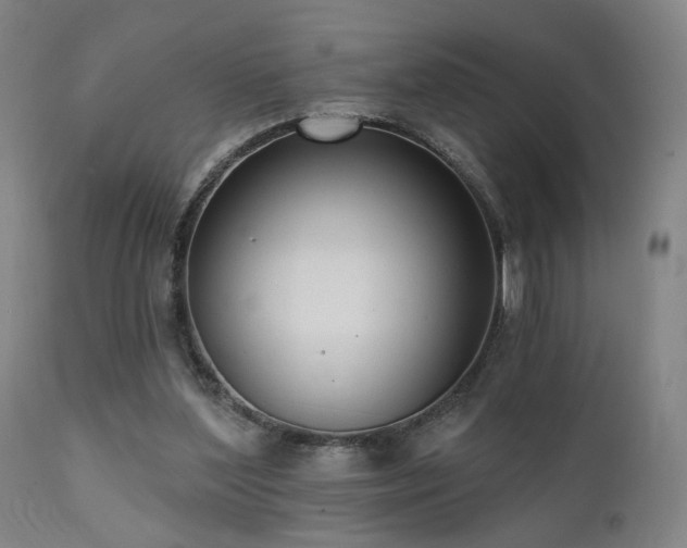 X0000111460204200907131503