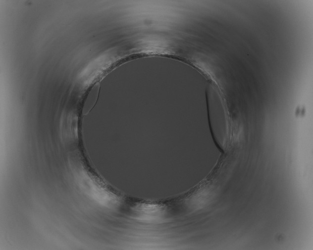 X0000111460205200907131503