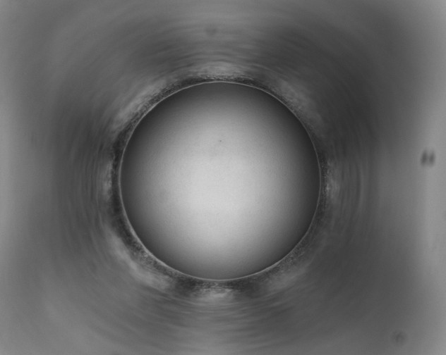 X0000111460206200907131503