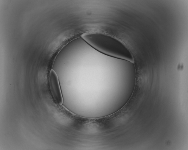 X0000111460207200907131503