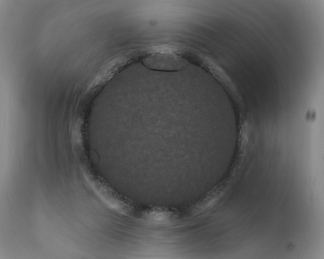 X0000111460209200907131503