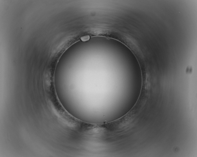 X0000111460210200907131503