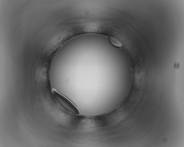 X0000111460211200907131503