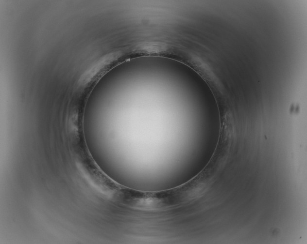 X0000111460212200907131503