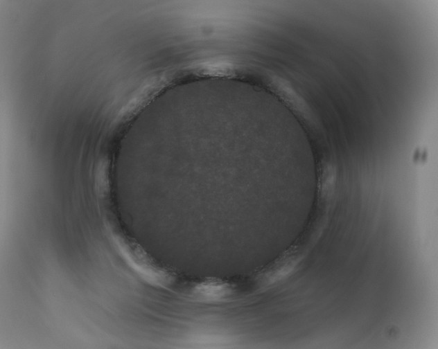 X0000111460213200907131503