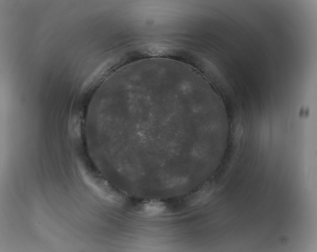 X0000111460214200907131503