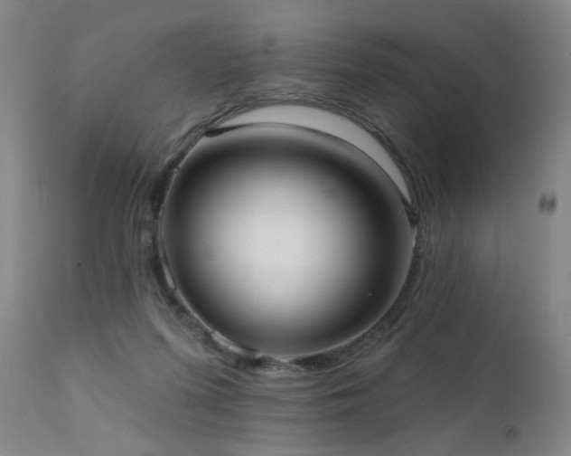 X0000111460215200907131503