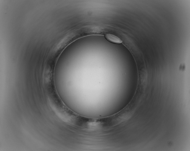 X0000111460216200907131503