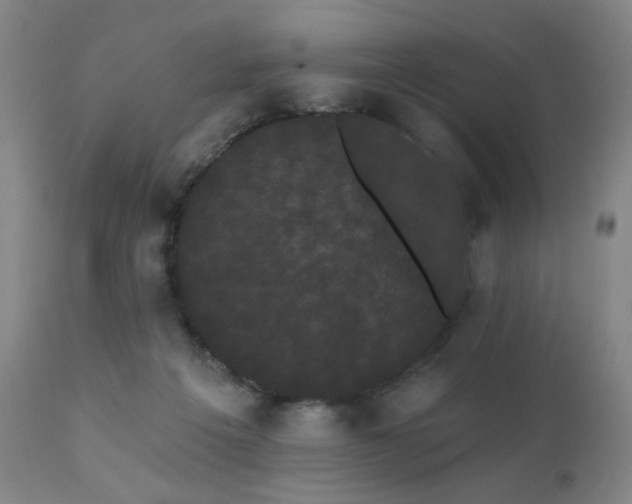 X0000111460217200907131503