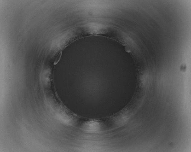 X0000111460219200907131503