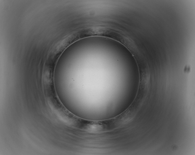 X0000111460220200907131503