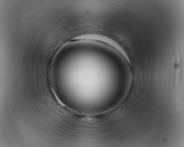 X0000111460221200907131503