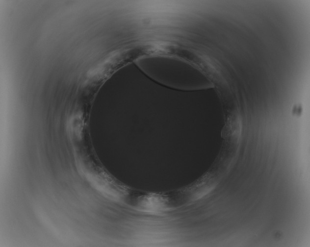 X0000111460223200907131503