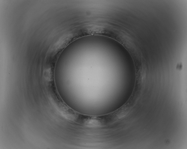 X0000111460224200907131503