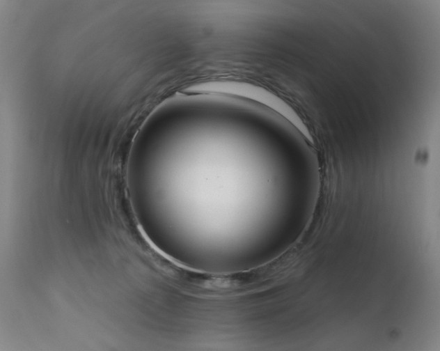 X0000111460225200907131503