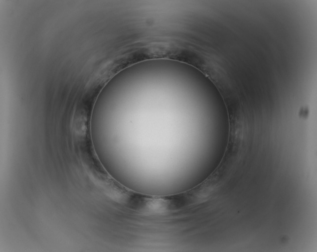 X0000111460226200907131503