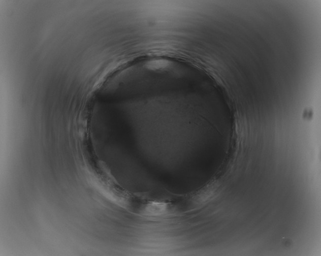X0000111460227200907131503