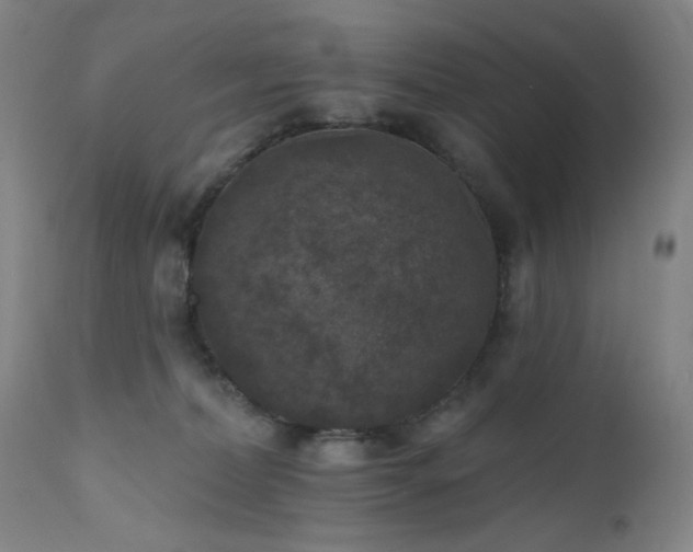 X0000111460228200907131503