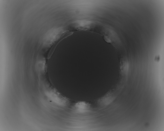 X0000111460231200907131503