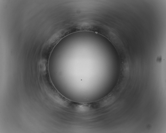 X0000111460232200907131503