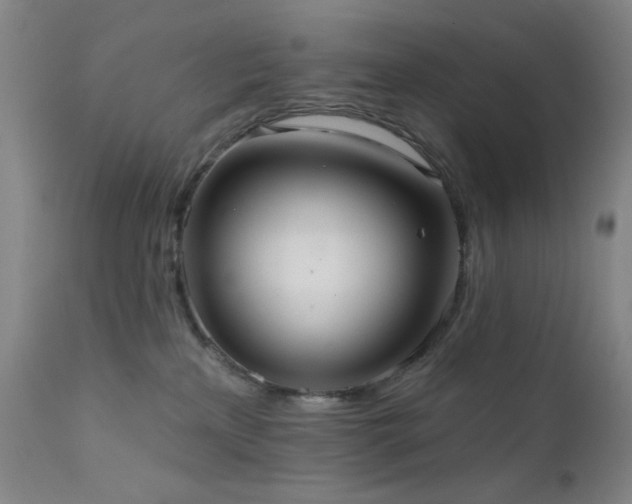 X0000111460233200907131503