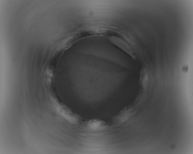 X0000111460235200907131503