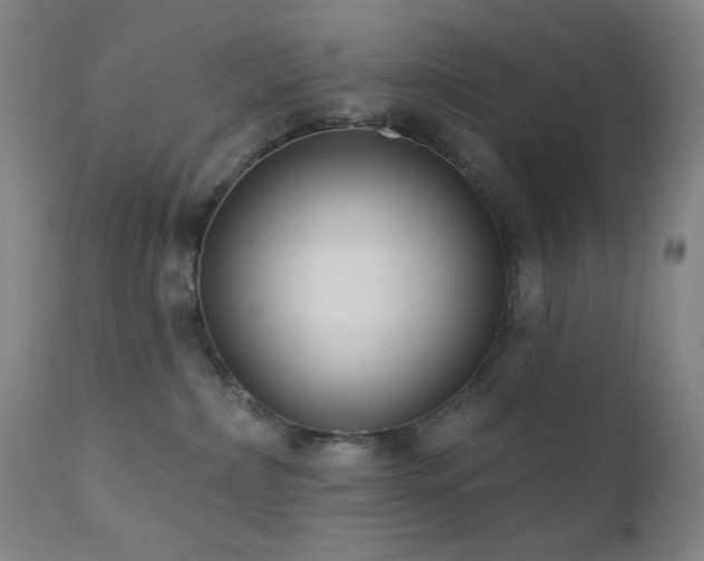 X0000111460236200907131503