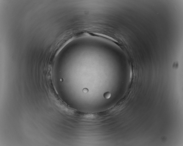 X0000111460237200907131503