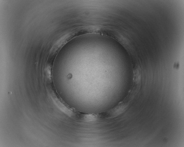 X0000111460238200907131503