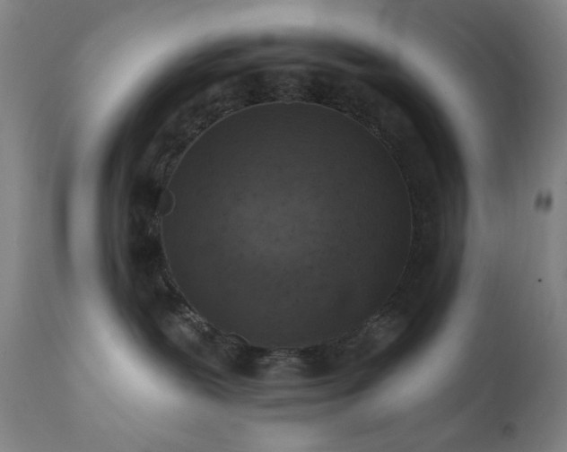 X0000111460239200907131503