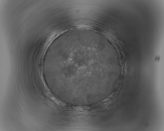 X0000111460241200907131502