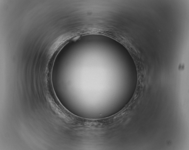 X0000111460242200907131502
