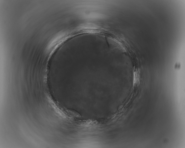 X0000111460243200907131502