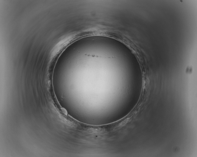 X0000111460245200907131502