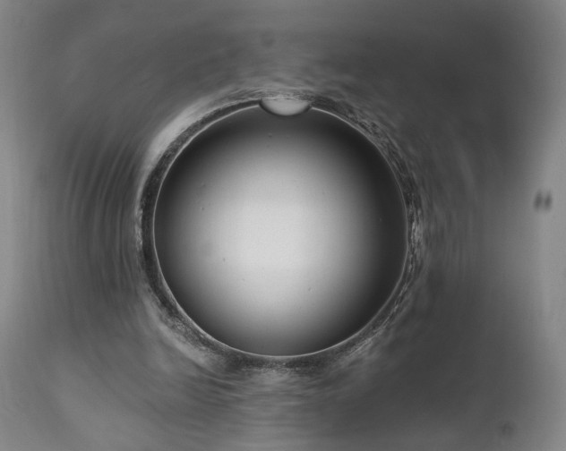 X0000111460246200907131502