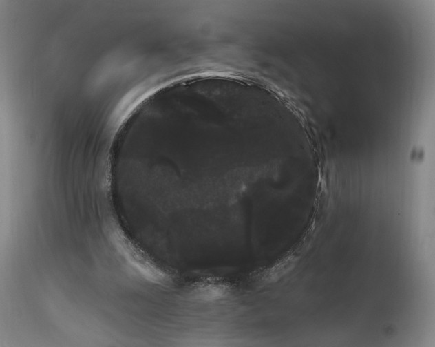 X0000111460247200907131502