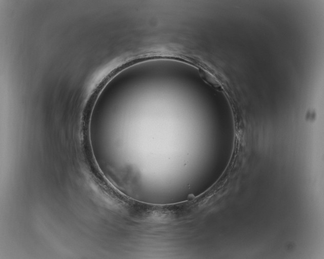 X0000111460248200907131502
