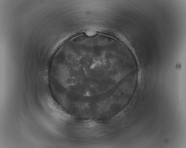 X0000111460249200907131502