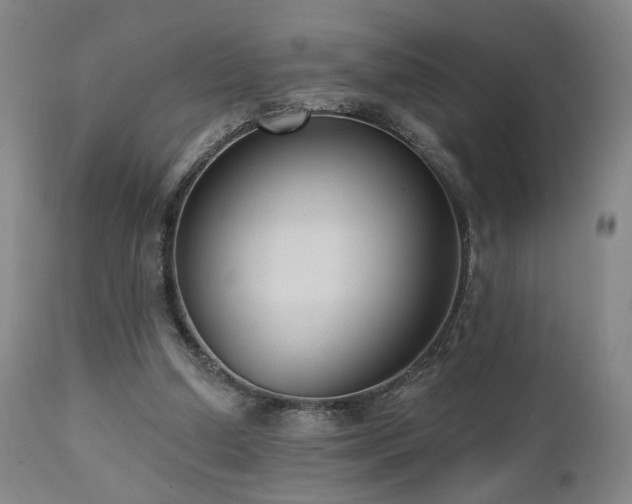 X0000111460250200907131502