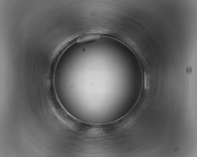X0000111460252200907131502