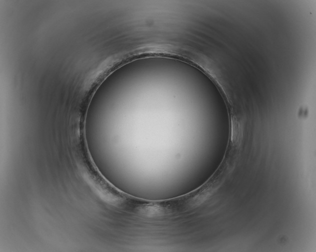 X0000111460253200907131502