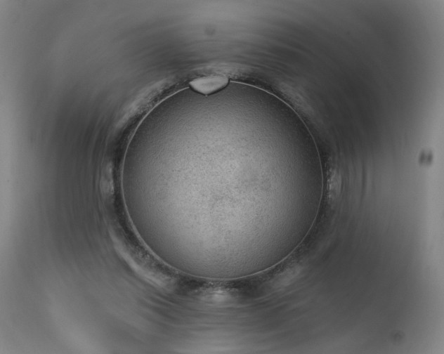 X0000111460254200907131502