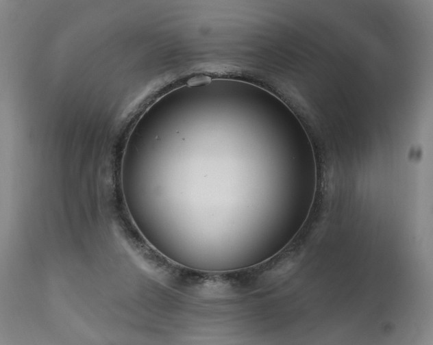 X0000111460256200907131502