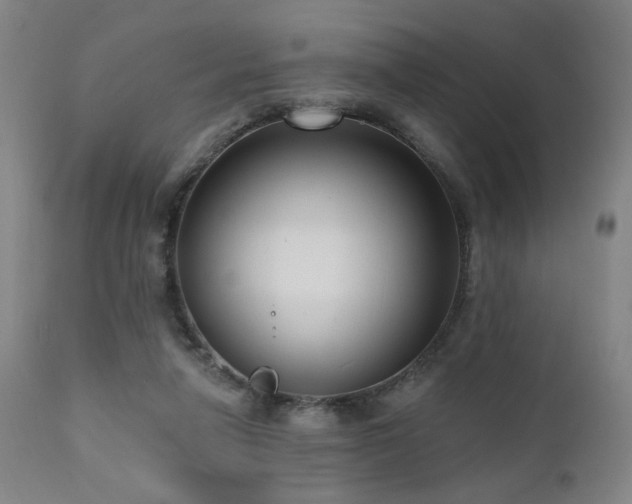 X0000111460258200907131502