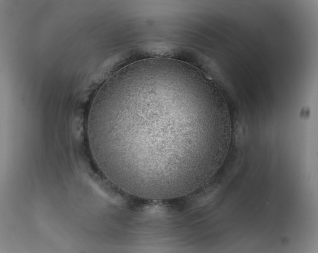 X0000111460259200907131502