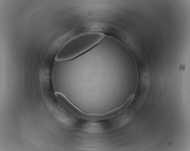 X0000111460260200907131502