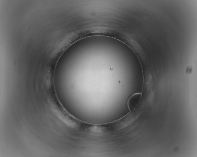 X0000111460261200907131502