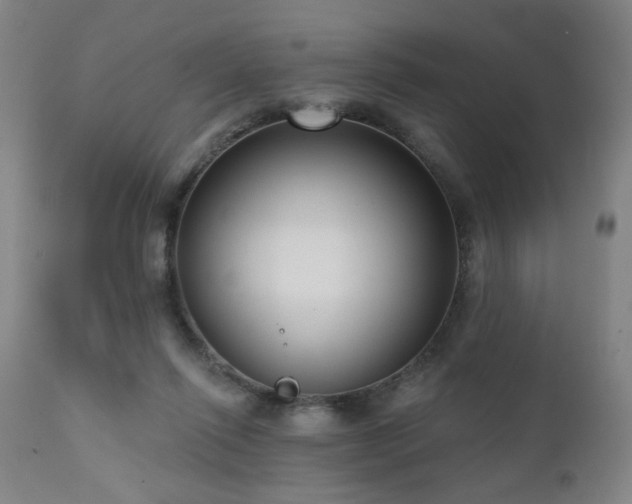 X0000111460262200907131502